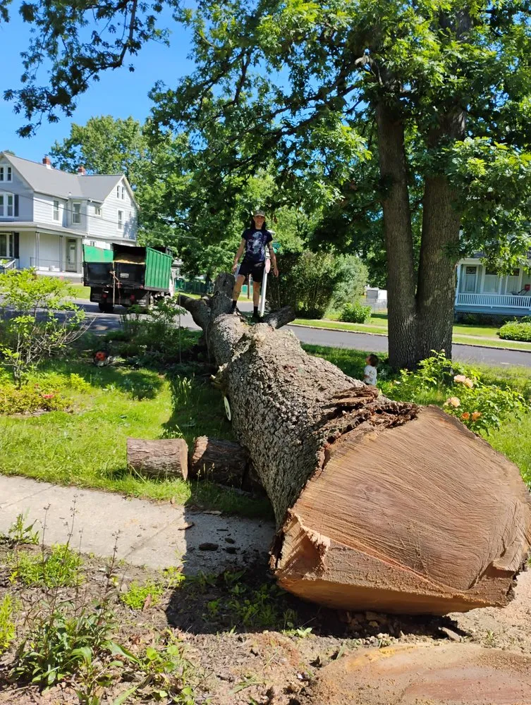 Local landscape installation near you in Dundalk, MD by Monzon Landscaping