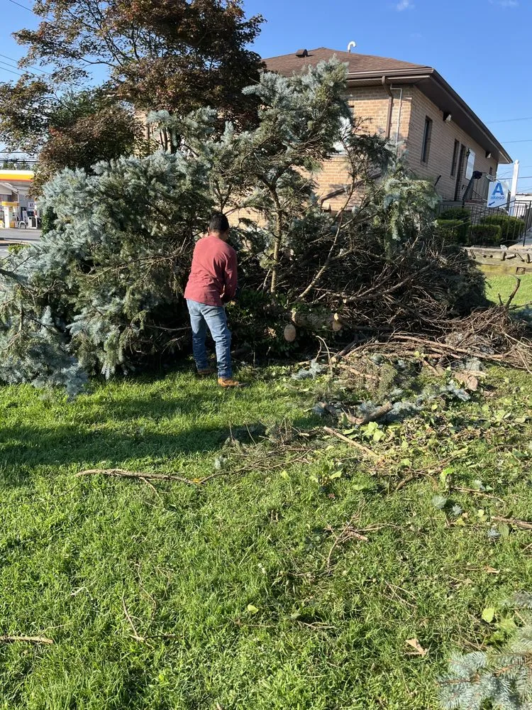 Expert yard cleanup service for beautiful yards in Dundalk, MD by Monzon Landscaping