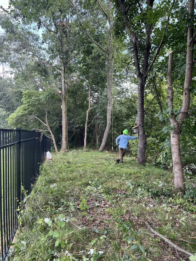 Professional landscape installation for homes across Dundalk, MD - Monzon Landscaping