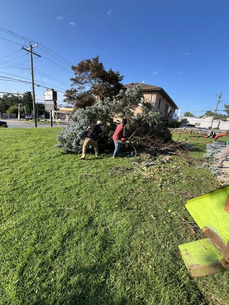 Custom landscape installation for year-round maintenance across Dundalk, MD - Monzon Landscaping
