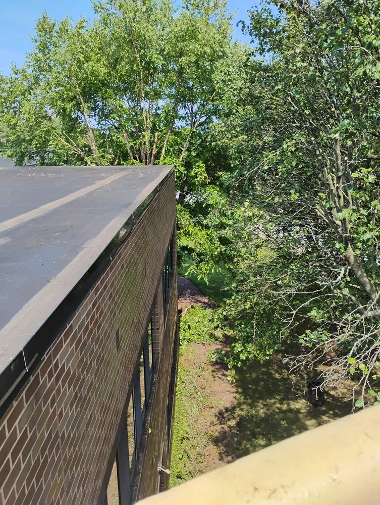 Custom lawn mowing service near you across Dundalk, MD - Monzon Landscaping