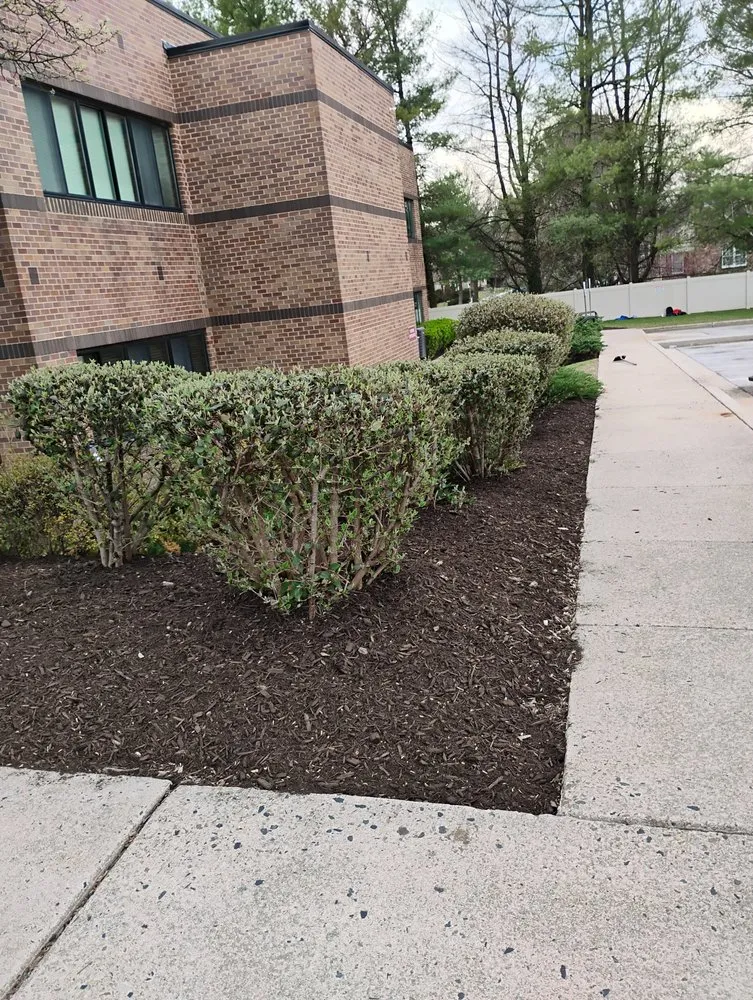 Affordable yard maintenance for residential properties across Dundalk, MD - Monzon Landscaping