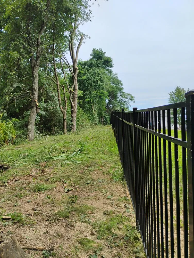 Professional landscaping services for year-round maintenance across Dundalk, MD - Monzon Landscaping