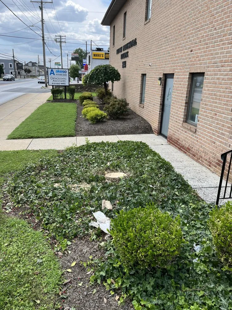 Local yard cleanup service for residential properties across Dundalk, MD - Monzon Landscaping