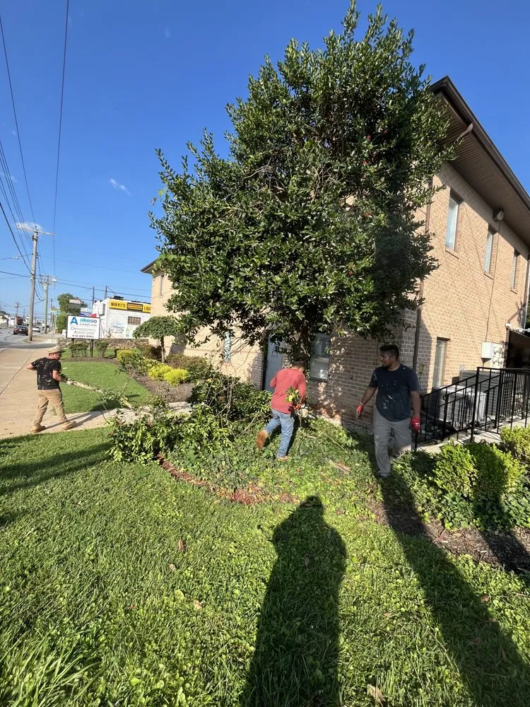 Expert landscaping services in Dundalk, MD by Monzon Landscaping