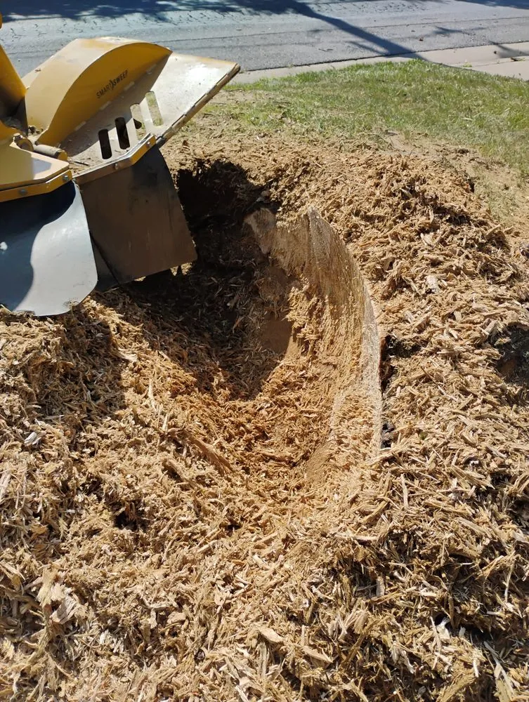 Reliable lawn care service in Dundalk, MD - Monzon Landscaping