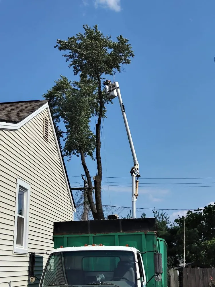 Affordable garden landscaping experts serving Dundalk, MD - Monzon Landscaping