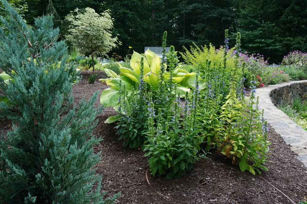 Expert landscape design experts serving Arlington, MA - Moodscapes