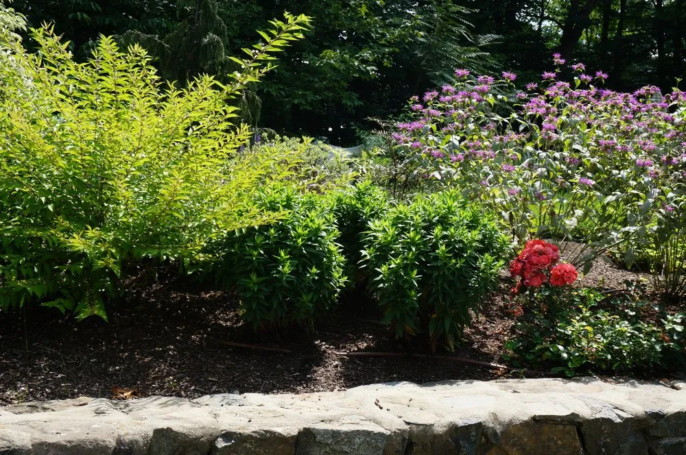 Local landscaping services for beautiful yards in Arlington, MA by Moodscapes