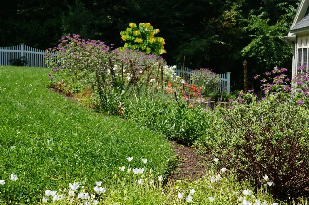 Affordable lawn care service experts serving Arlington, MA - Moodscapes
