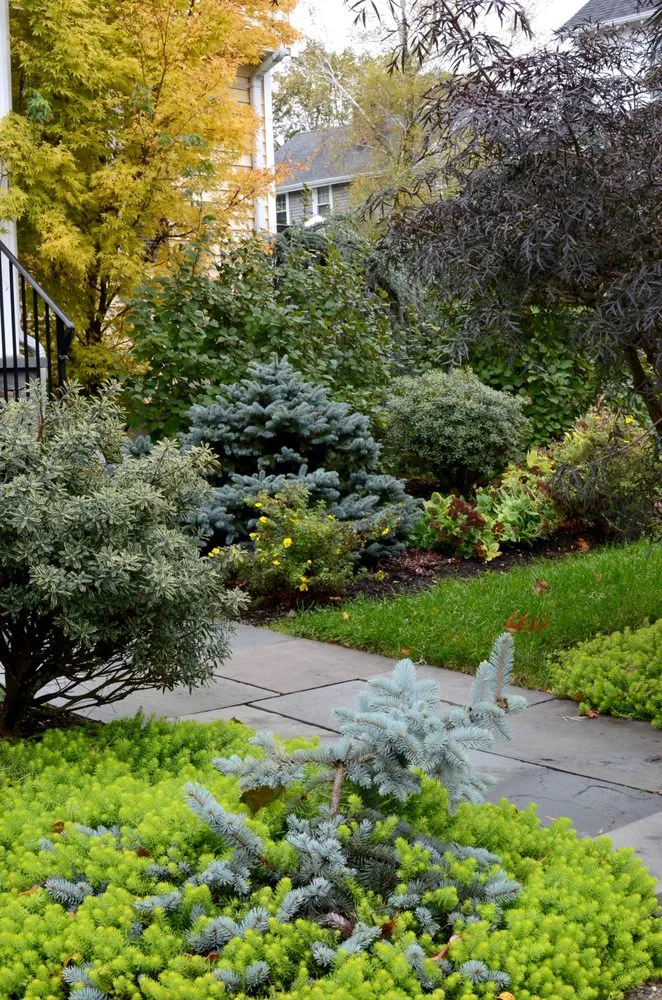 Top-rated landscaping services for residential properties across Arlington, MA - Moodscapes