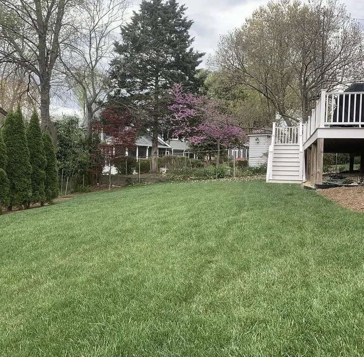 Trusted garden landscaping in Wilmington, DE by Moody Lawn Care & Renovations