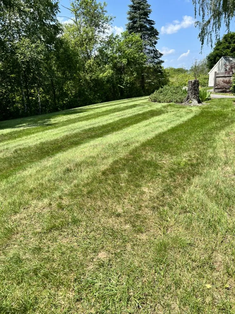 Trusted yard cleanup service in Palermo, ME by Moodys Earthworks