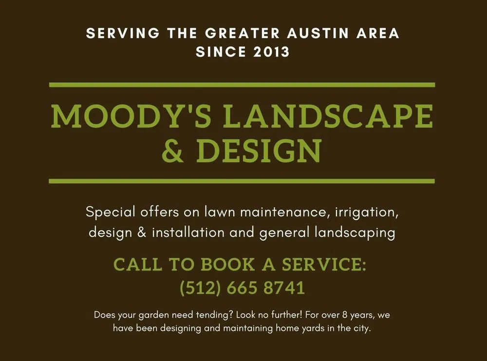 Affordable landscape installation for beautiful yards in Round Rock, TX by Moody's Landscape & Design