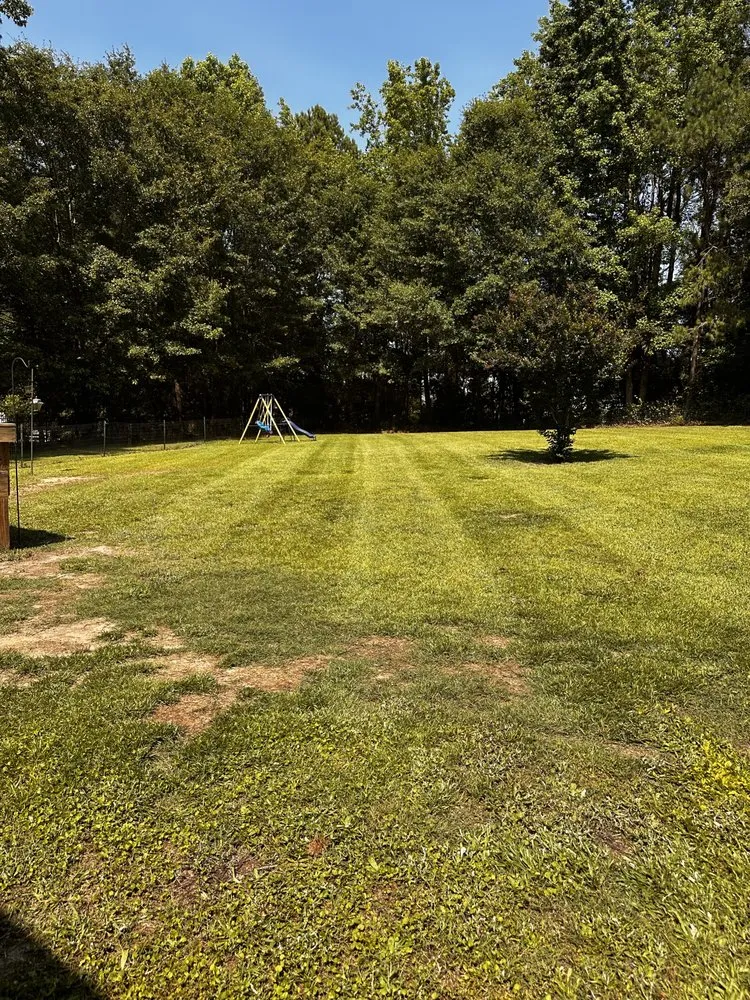 Expert yard maintenance for year-round maintenance across Benson, NC - Moody’s Lawncare & Landscaping
