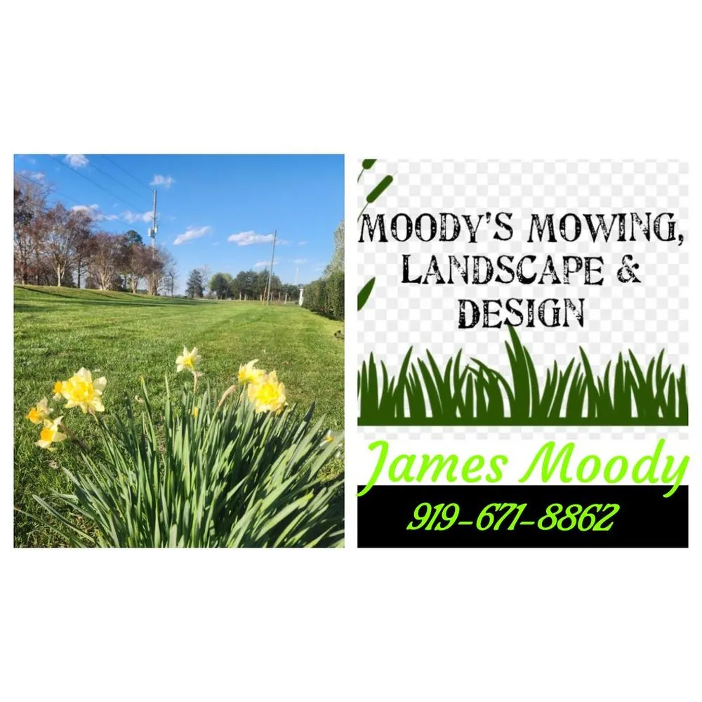 Expert yard maintenance in Louisburg, NC - Moody’s Mowing, Landscape & Design