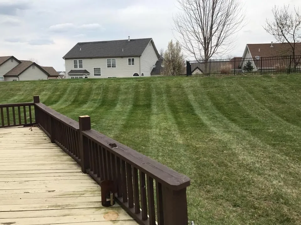 Custom yard maintenance in Saint Louis, MO by Moody's Mowing