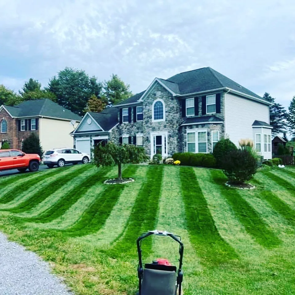 Affordable yard cleanup service for residential properties across Clinton Corners, NY - Moody’s Property Preservation Service
