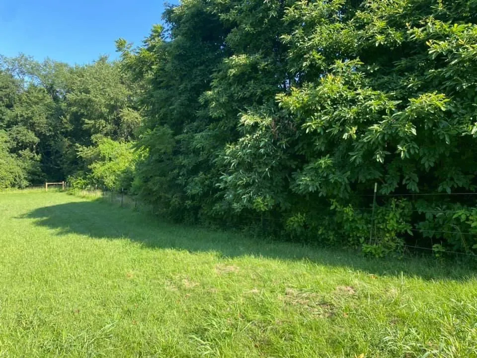 Professional residential landscaping in Clinton Corners, NY - Moody’s Property Preservation Service