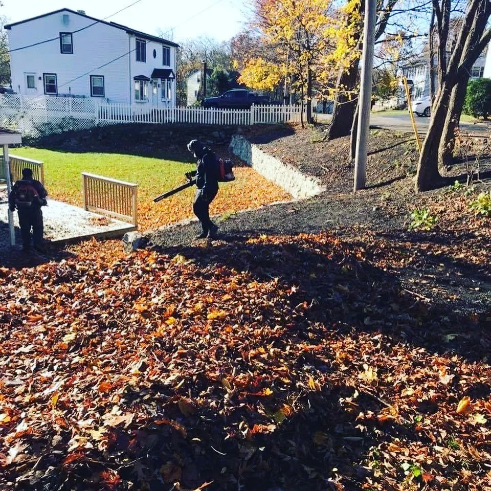 Reliable landscaping services in Clinton Corners, NY by Moody’s Property Preservation Service