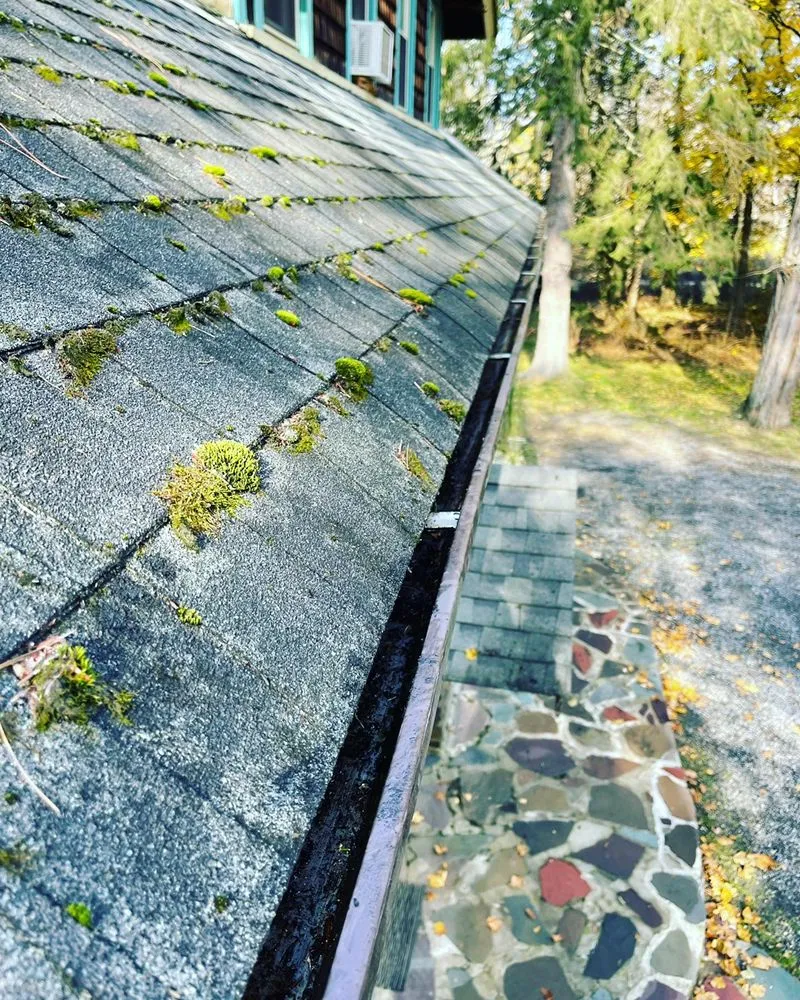Top-rated landscaping services in Clinton Corners, NY - Moody’s Property Preservation Service
