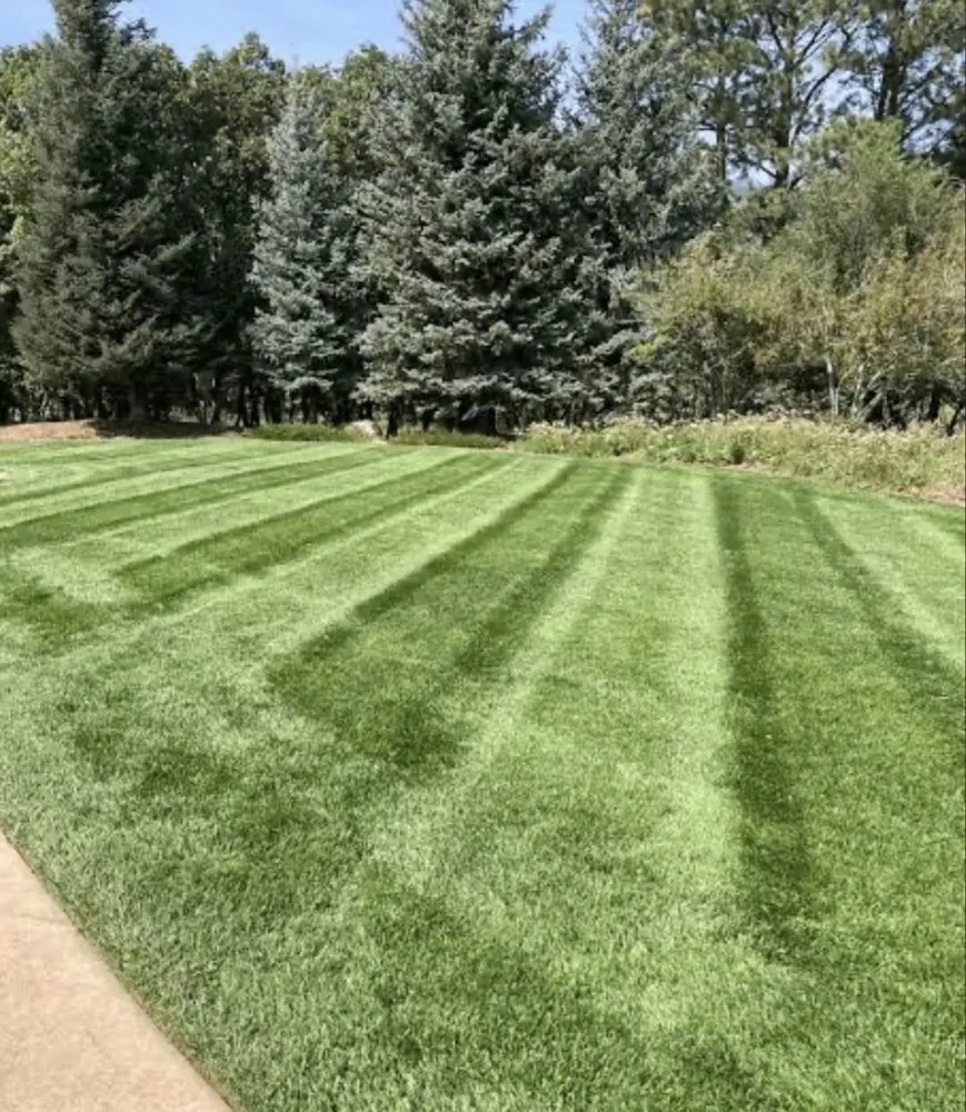 Affordable landscaping services for beautiful yards across Arcanum, OH - Moodys services