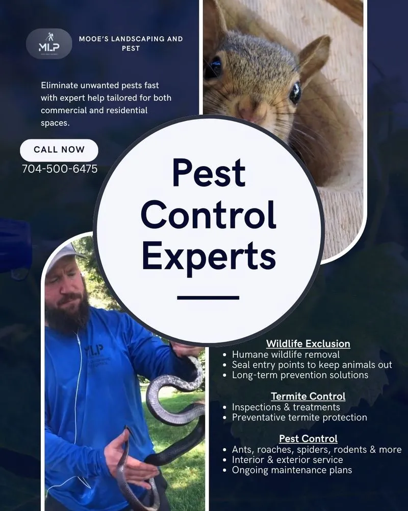 Custom yard maintenance experts serving Statesville, NC - Mooe's Landscaping & Pest Control