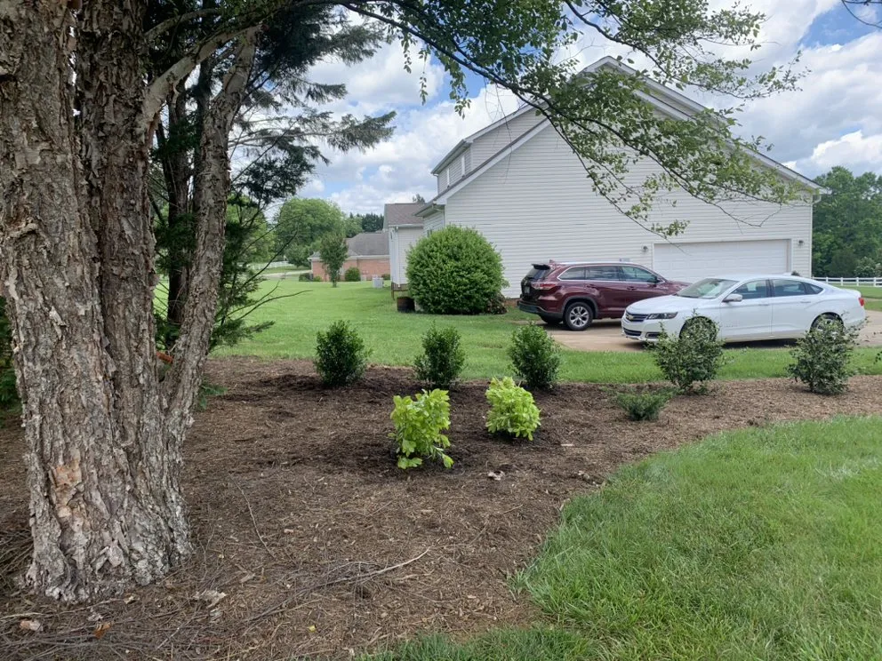 Professional residential landscaping in Statesville, NC by Mooe's Landscaping & Pest Control