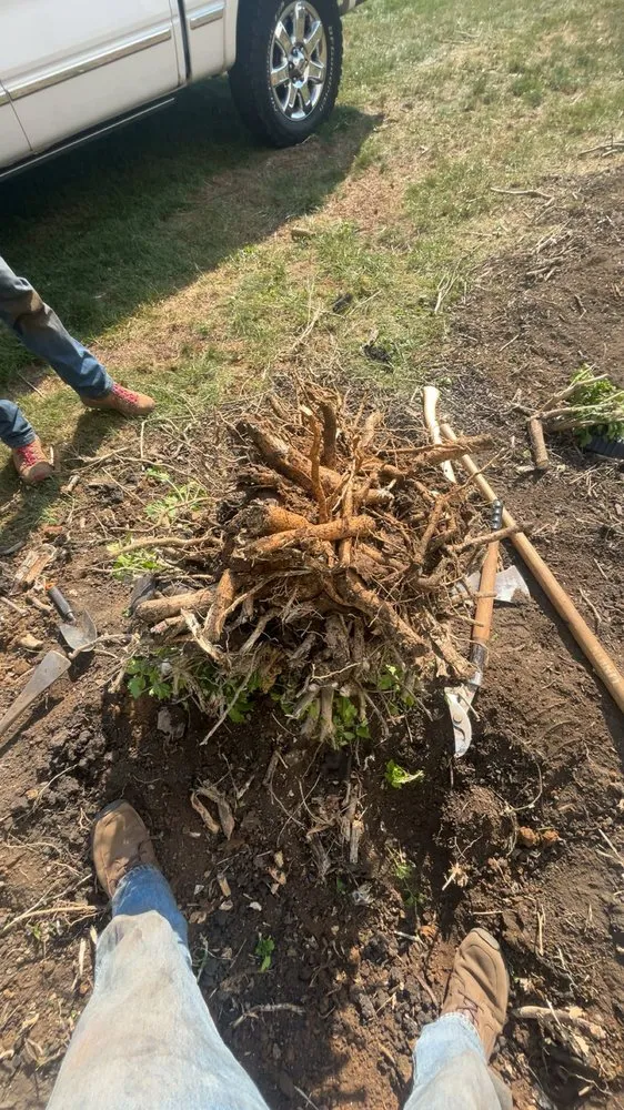 Custom lawn care service in West Chester, PA by Mooiweers Labor