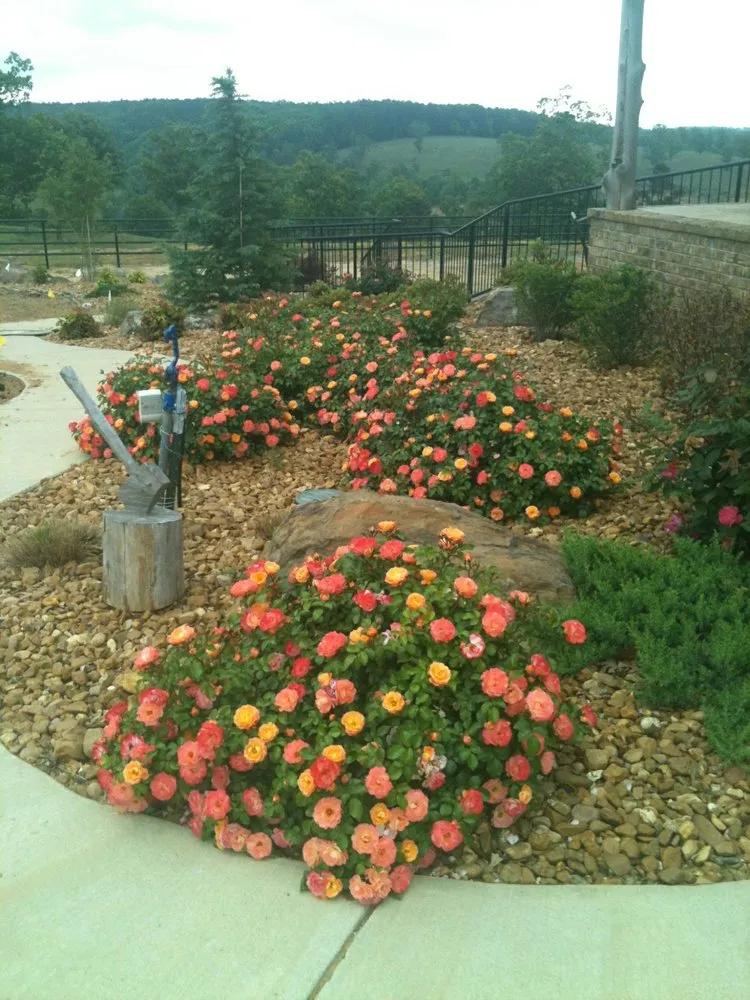 Custom landscape design with custom design in Rose Bud, AR by Moon Custom Landscapes