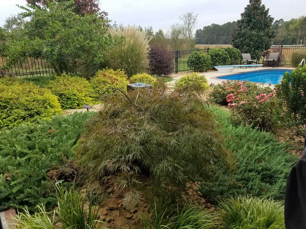 Top-rated landscape design in Rose Bud, AR by Moon Custom Landscapes