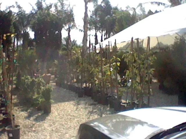 Affordable outdoor landscaping with custom design in Fillmore, CA by Moon Mountain Farms