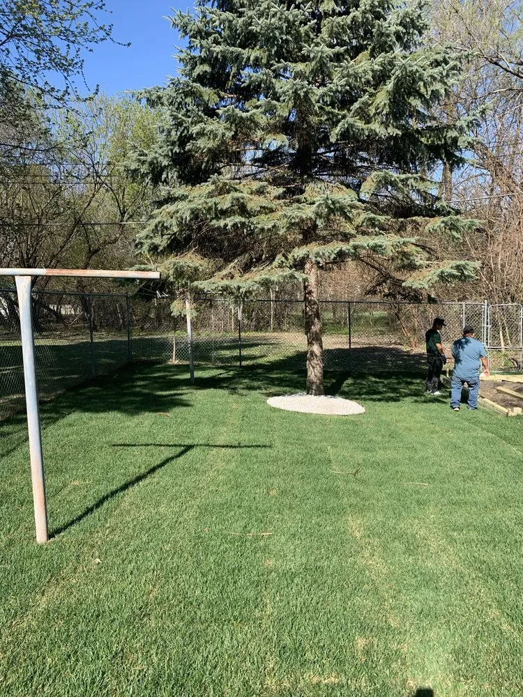 Expert yard cleanup service for residential properties in Minneapolis, MN by Moon Stars Landscaping