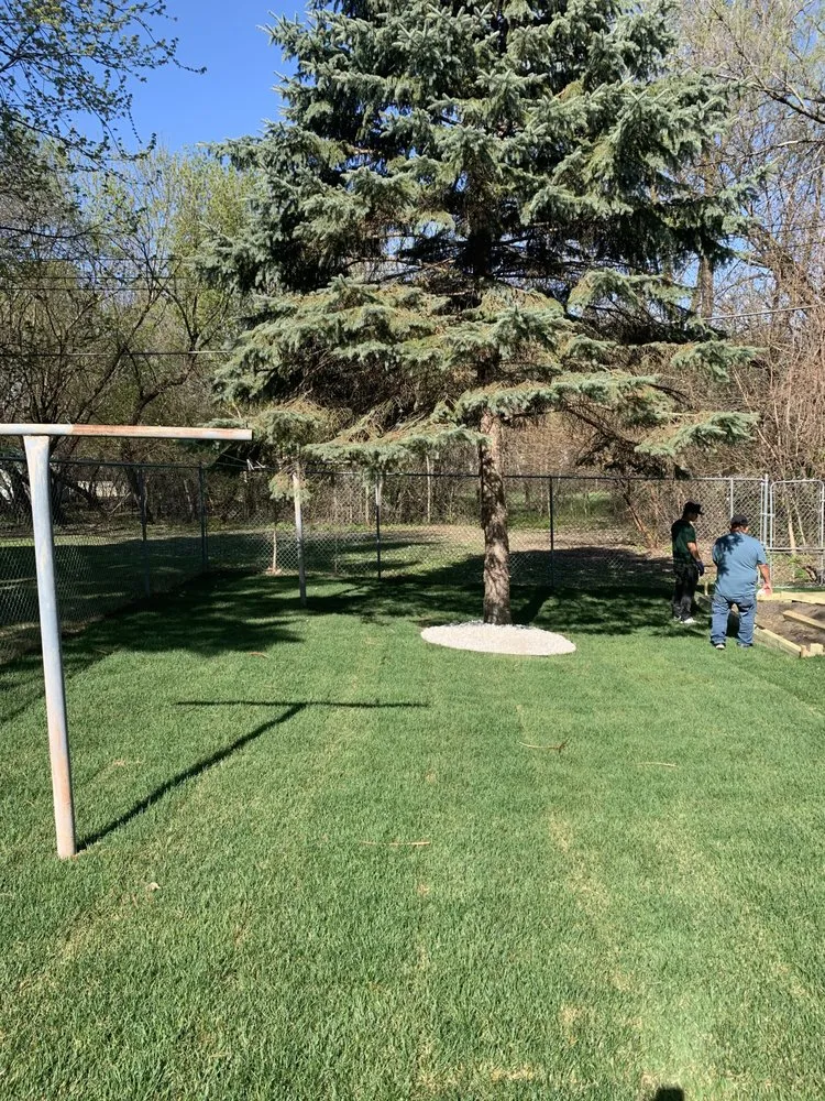 Custom landscape installation experts serving Minneapolis, MN - Moon Stars Landscaping