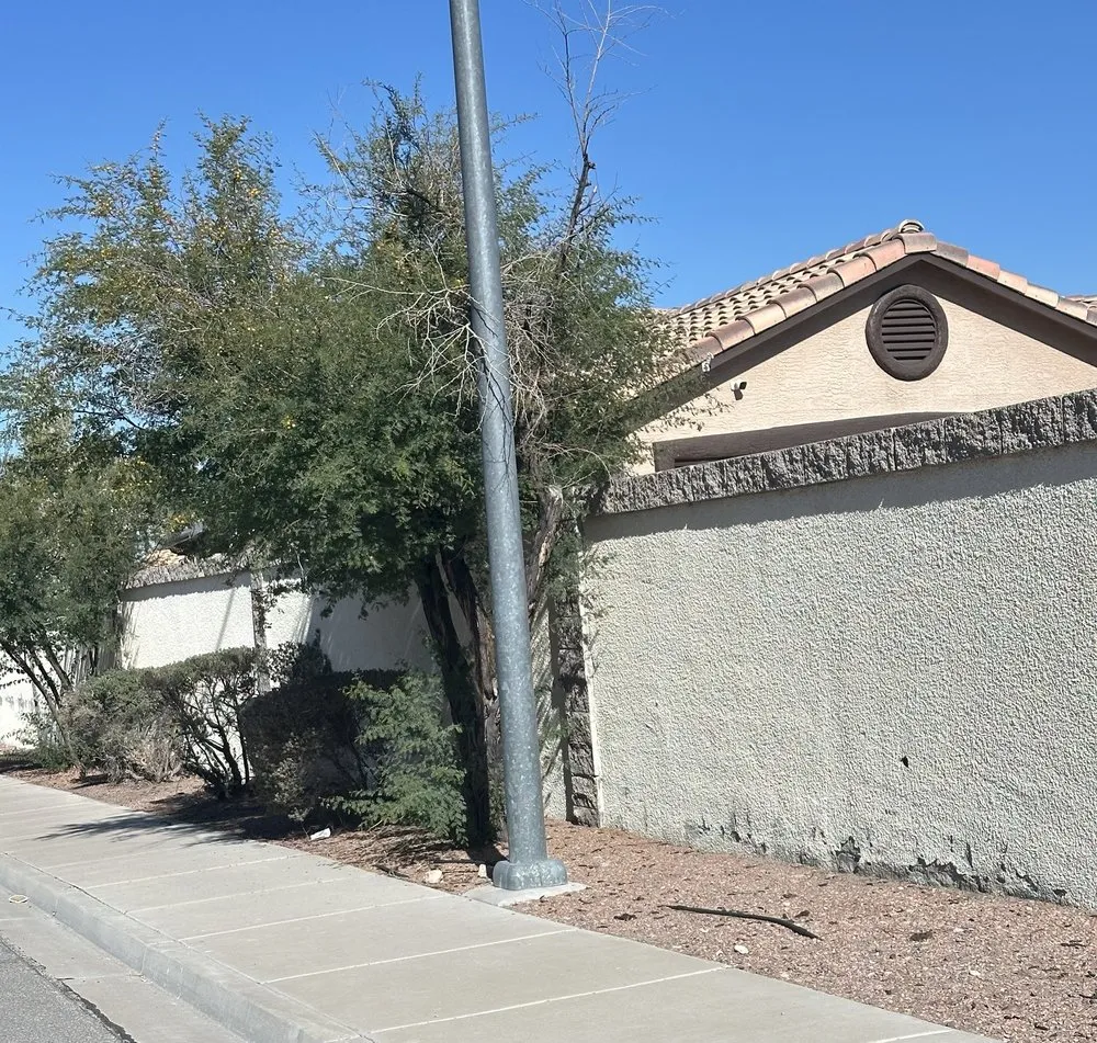 Trusted landscape installation in Las Vegas, NV by Moon Sun Landscapes