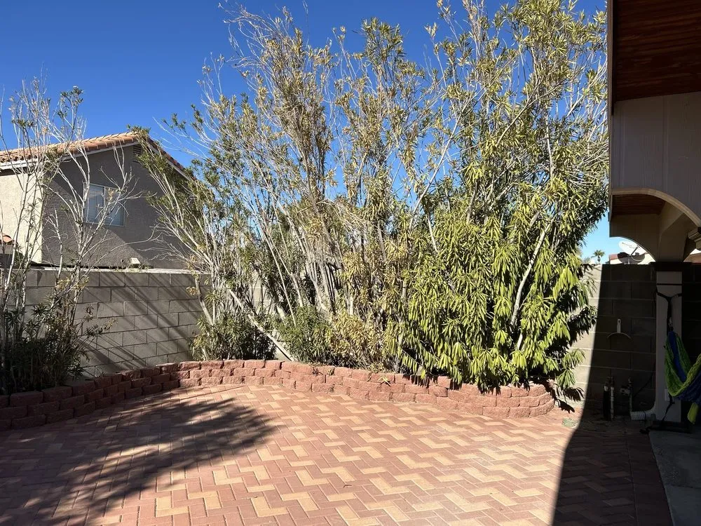 Reliable yard maintenance experts serving Las Vegas, NV - Moon Sun Landscapes