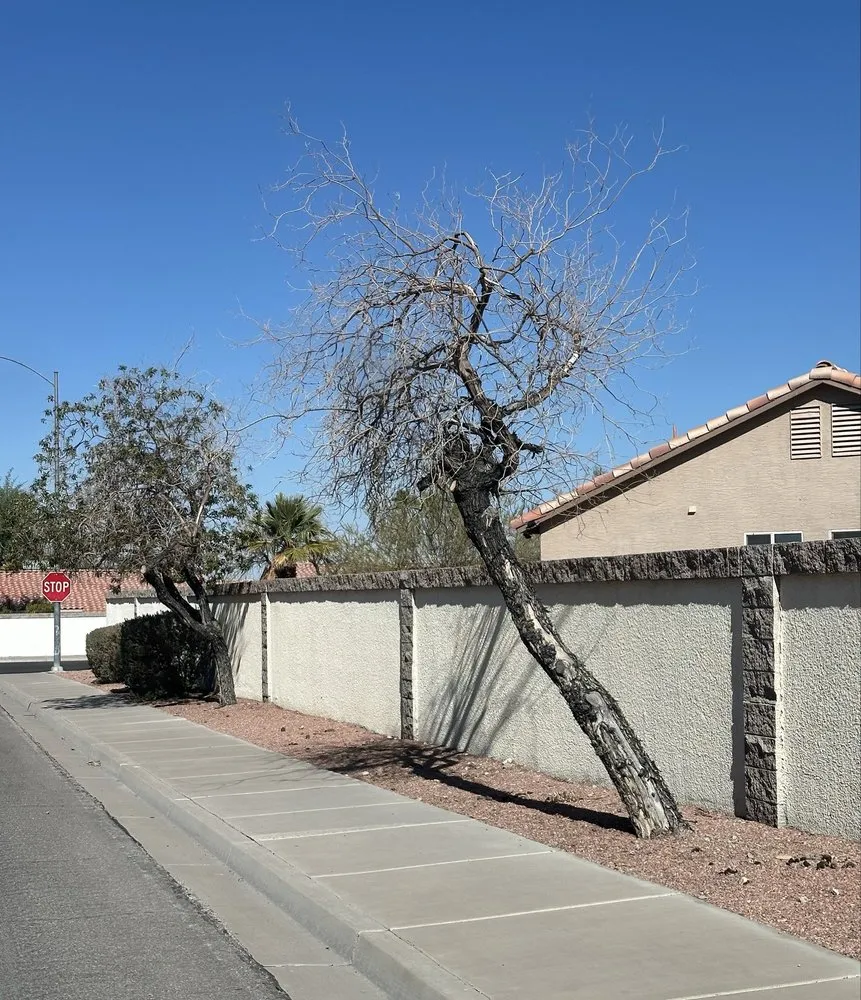 Top-rated residential landscaping in Las Vegas, NV by Moon Sun Landscapes