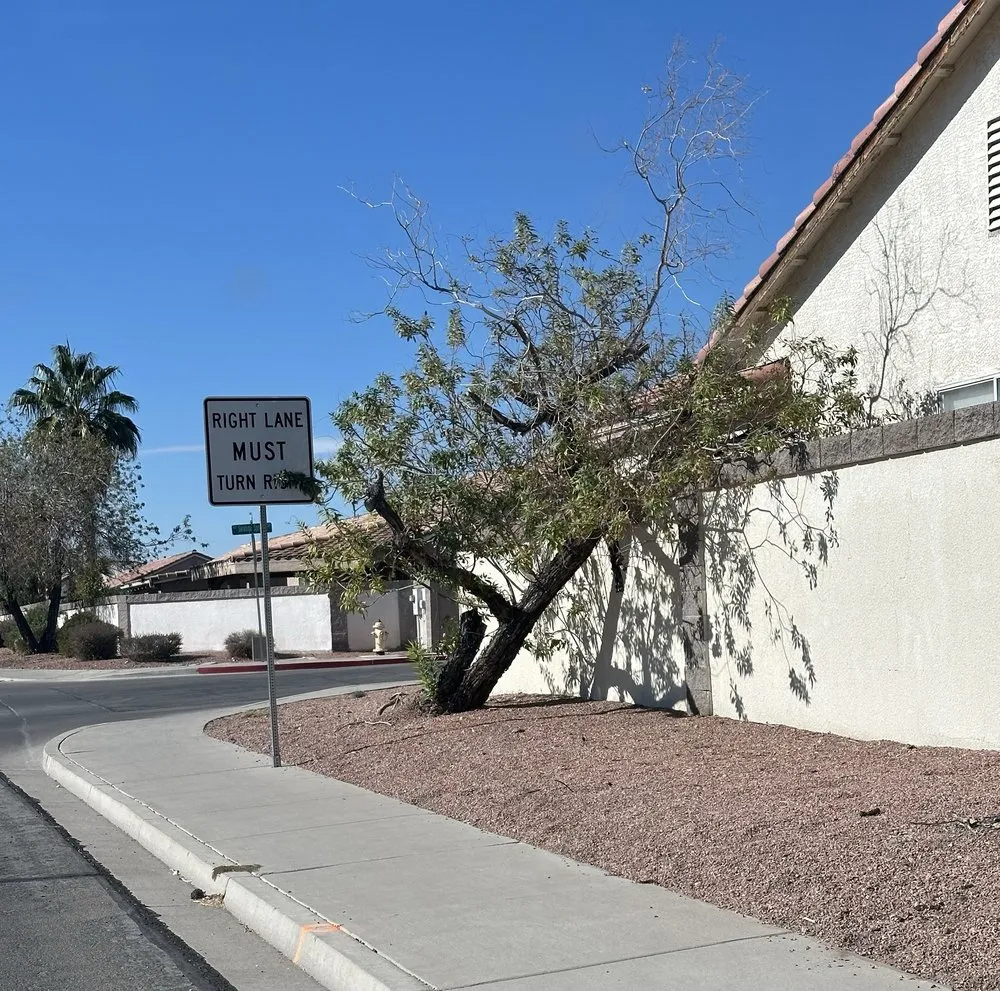 Custom lawn care service experts serving Las Vegas, NV - Moon Sun Landscapes