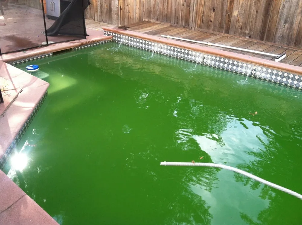 Reliable landscaping services for outdoor upgrades in Sonoma, CA by Moon Valley Landscape