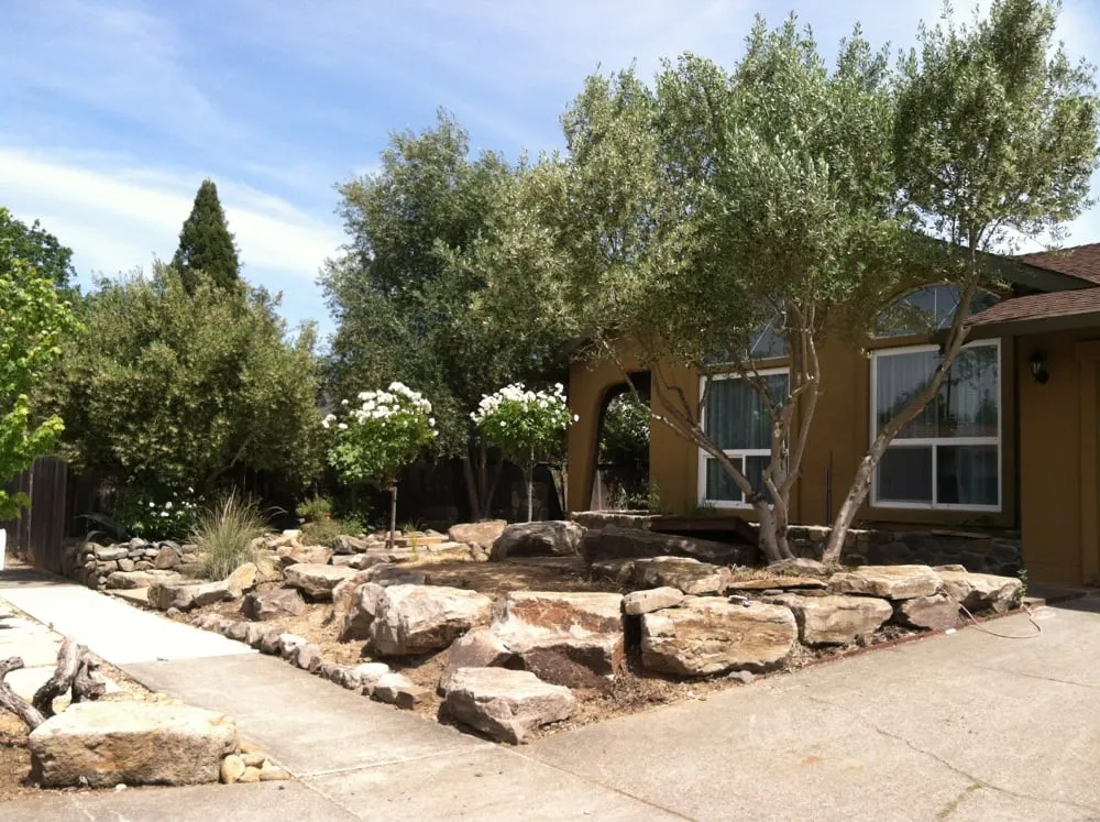 Affordable lawn mowing service in Sonoma, CA - Moon Valley Landscape