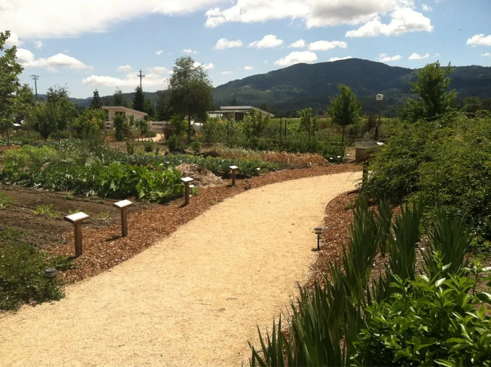 Professional landscape design in Sonoma, CA by Moon Valley Landscape