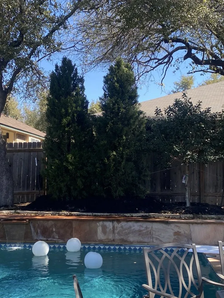 Reliable lawn mowing service in Austin, TX - Moon Valley Nurseries