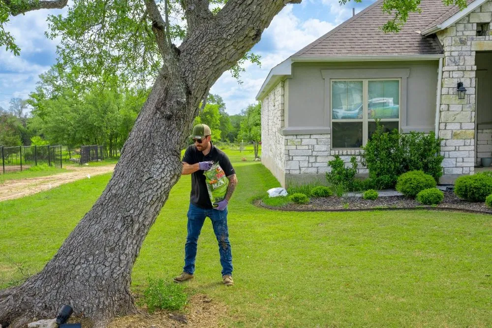 Expert lawn mowing service in Austin, TX - Moon Valley Nurseries