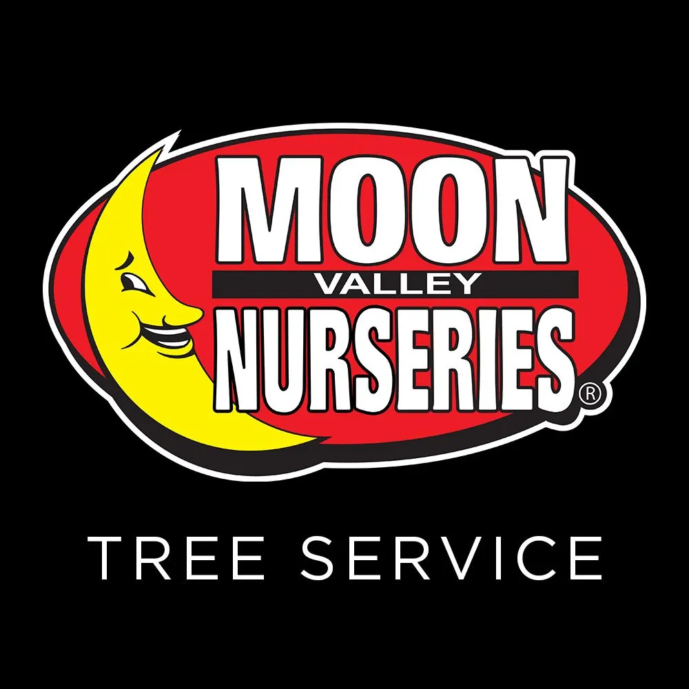 Professional yard cleanup service for beautiful yards in Austin, TX by Moon Valley Nurseries
