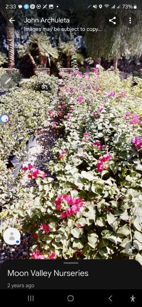 Reliable landscape design for year-round maintenance across Coachella, CA - Moon Vallies Nursery