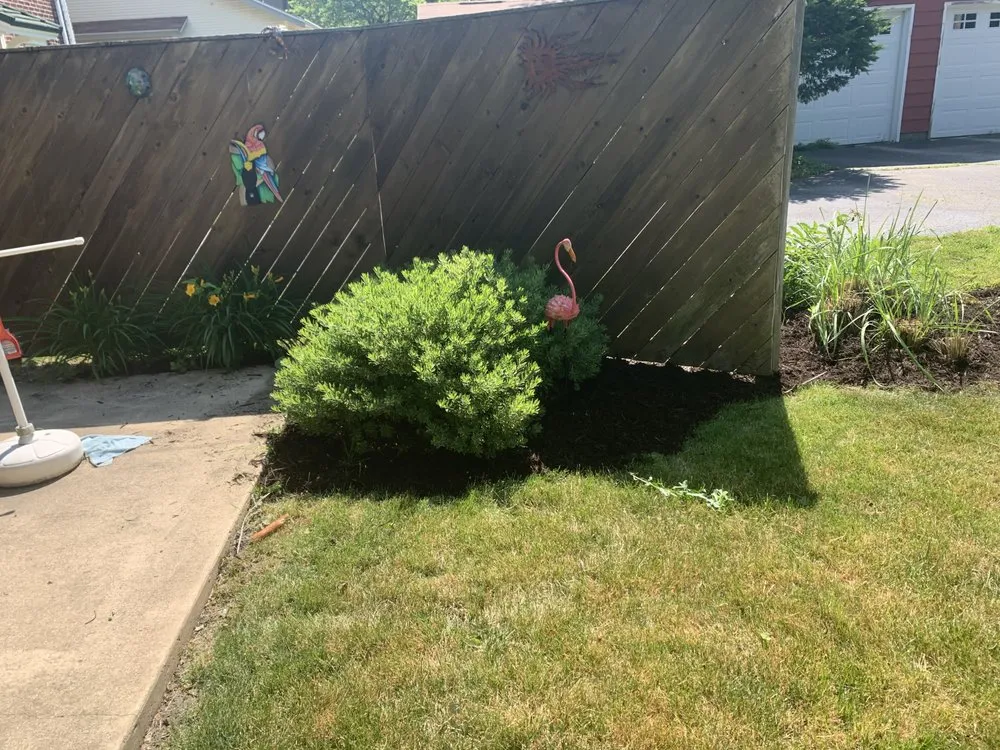 Professional outdoor landscaping in Glendale, SC - Mooney’s