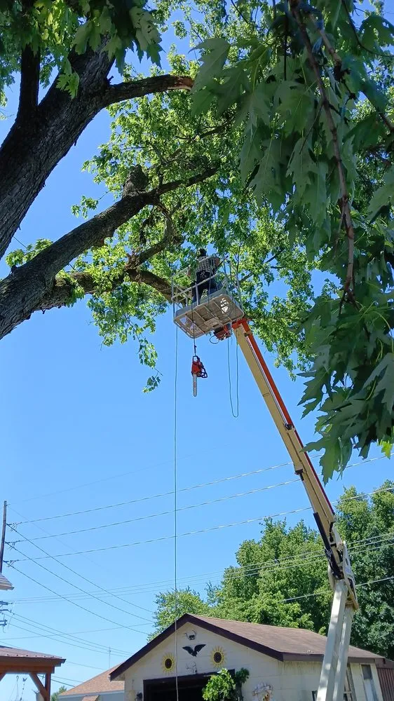 Affordable lawn mowing service with custom design in Bloomington, IL by Mooneys Lawn Services