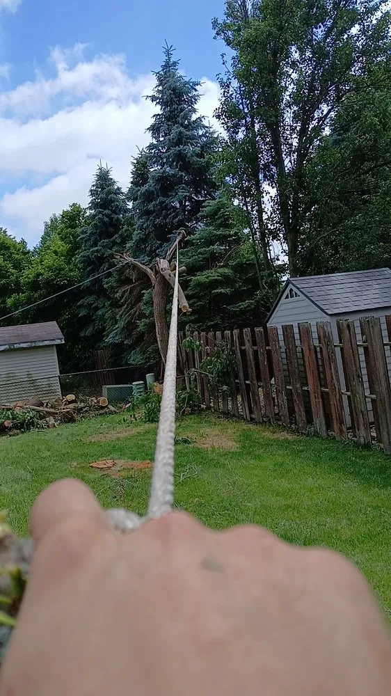 Professional outdoor landscaping for year-round maintenance in Bloomington, IL by Mooneys Lawn Services