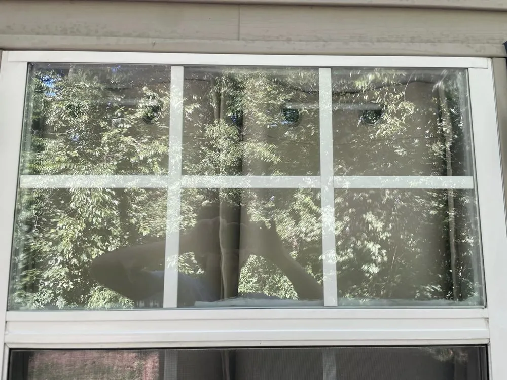 Local lawn care service experts serving Gallatin, TN - Mooney's Window Washing