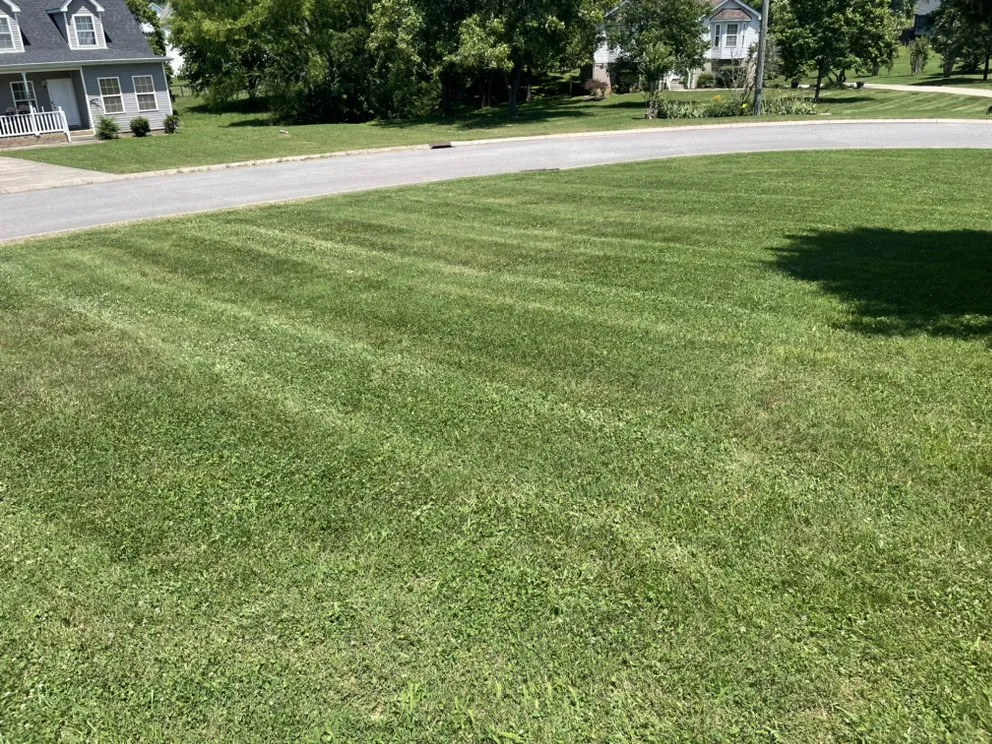 Professional landscaping services in Gallatin, TN - Mooney's Window Washing